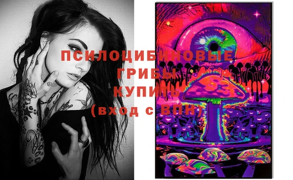 гидропоника Алзамай