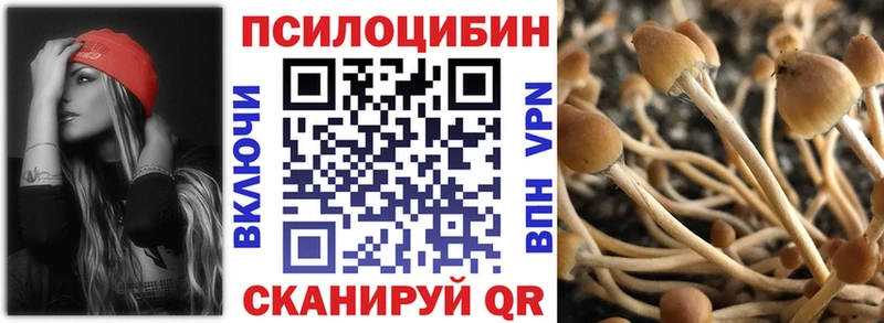 наркошоп  Пыталово  Галлюциногенные грибы Psilocybe 